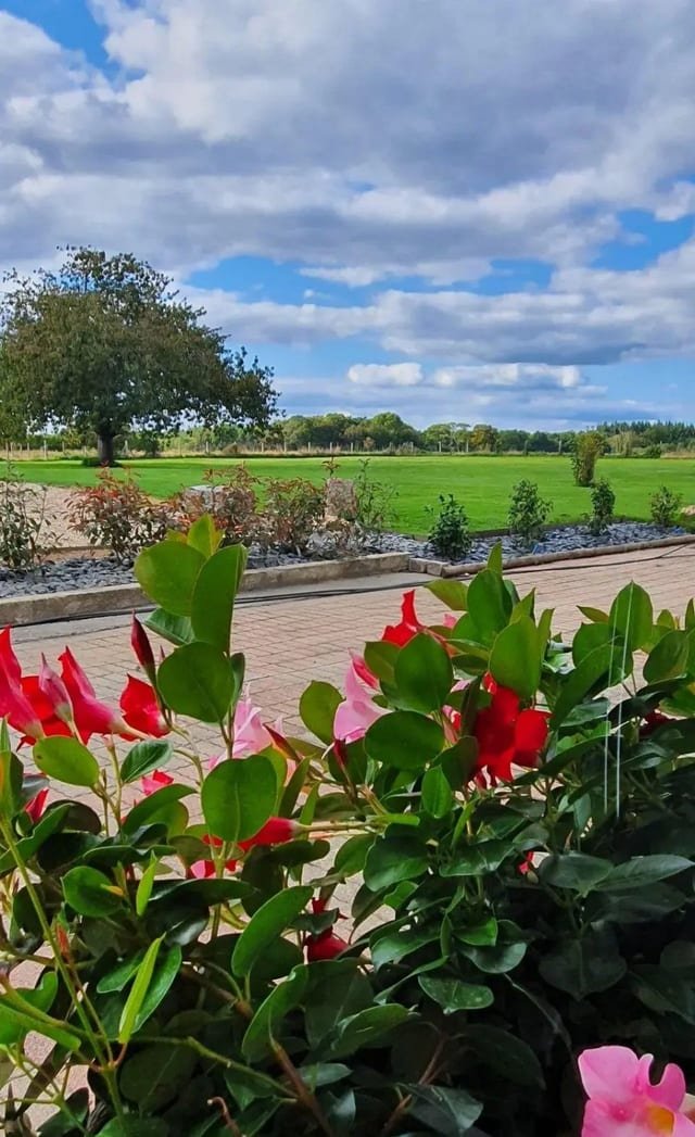 La terrasse fleurie et sa vue dégagée sur le parc